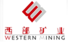 Industry partner